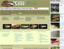 Tablet Screenshot of killi.co.uk
